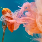 Анализ игровых технологий слота Chilli Heat Megaways - схема барабанов