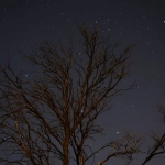 Экспертный анализ игровой механики слота Starlight Princess