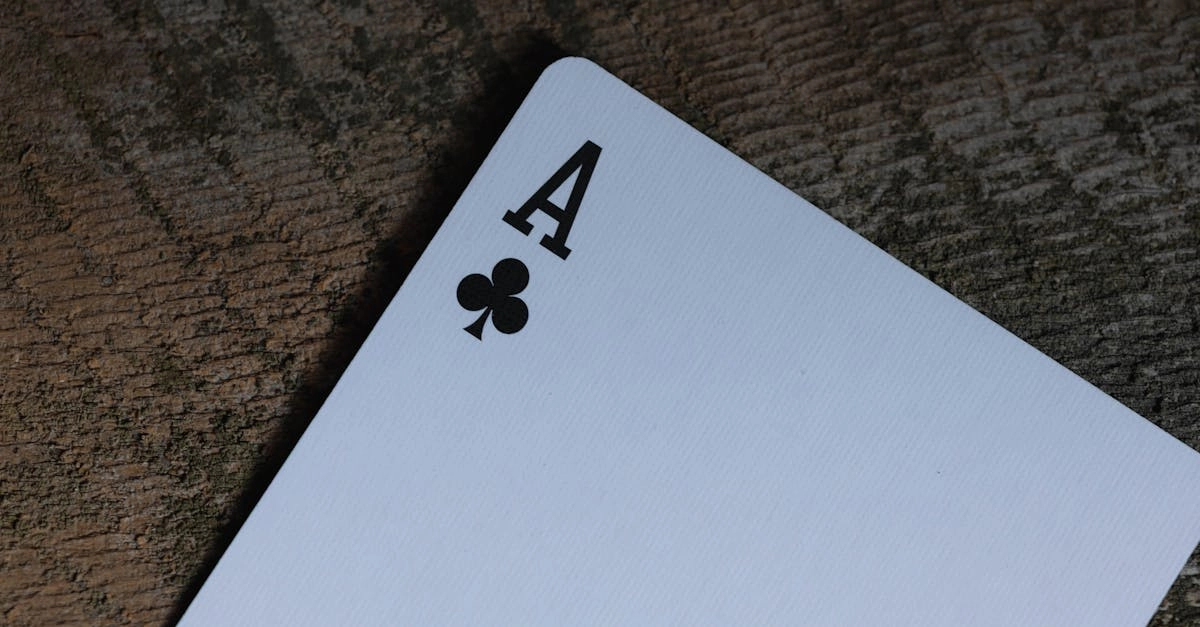 Анализ игрового ассортимента Casino-X - экспертная оценка платформы